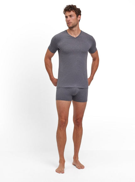 FALKE 2-Pack Heren T-Shirt Daily Comfort 68107