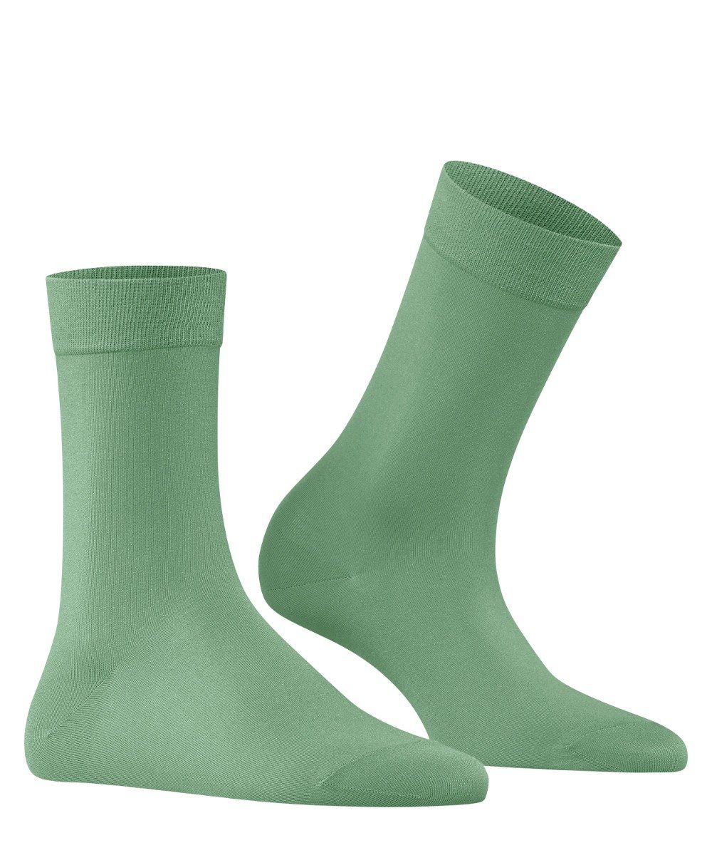 7447 nettle / 35-38