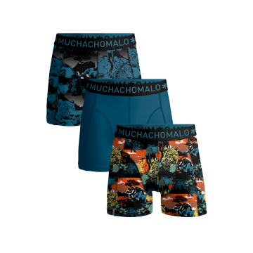 Muchachomalo 3 pack boys short U-Africa1010-01J